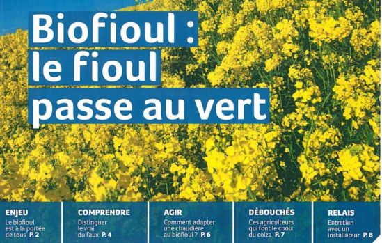 SUD OUEST Le biofioul passe au vert avec le chaudières PERGE