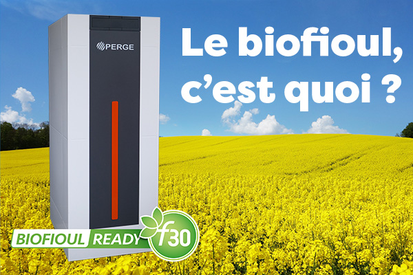 Qu'est-ce que le biofioul F30 ?