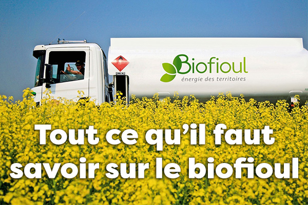 Tout ce qu’il faut savoir sur le biofioul